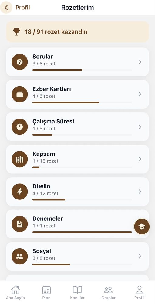 Rozetlerim: kategori kartları ve ilerleme